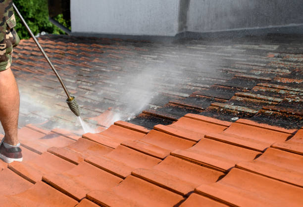 Best Affordable Power Washing  in Wadena, MN