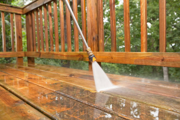 Best Roof Power Washing Services  in Wadena, MN