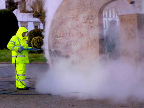 Best Power Washing Near Me  in Wadena, MN