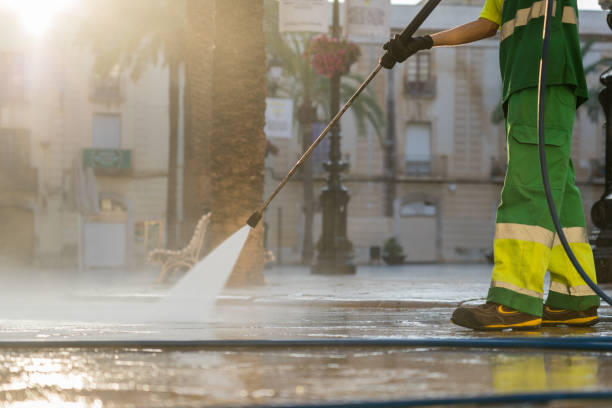 Best Roof Pressure Washing  in Wadena, MN